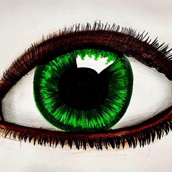 Meet your Posher, Lucas - Picture 1 of 1